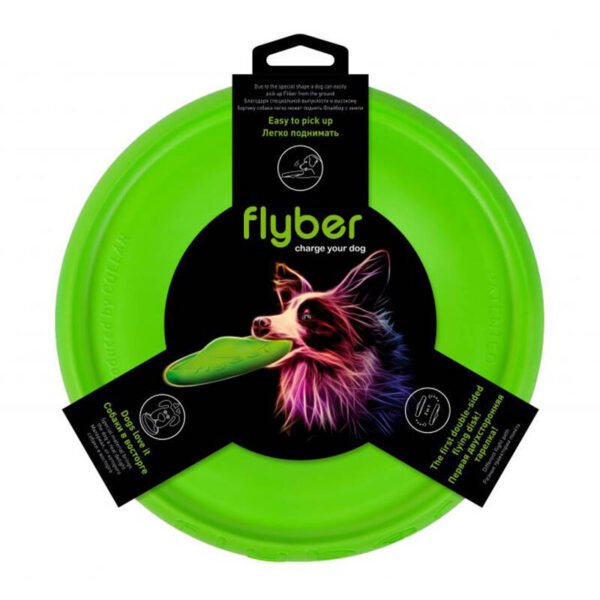 Double-sided flying disc Flyber Waudog 22 cm