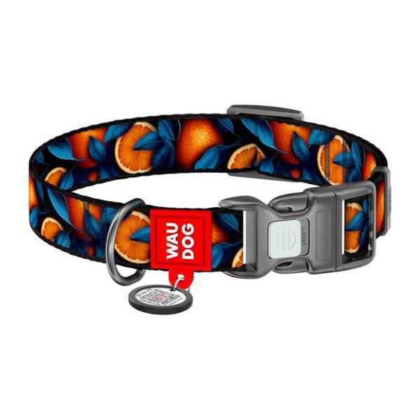 Nylon dog collar with QR code Waudog "Oranges" size L cena