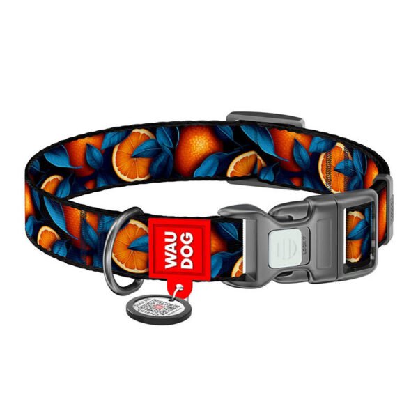 Nylon dog collar with QR code Waudog "Oranges" size M cena