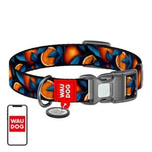 Nylon dog collar with QR code Waudog "Oranges" size M