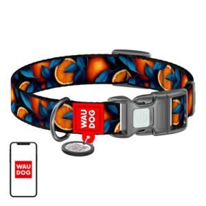 Nylon dog collar with QR code Waudog "Oranges" size S