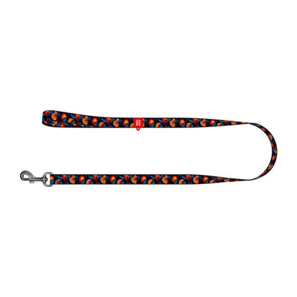 Nylon dog leash "Oranges" 122 cm Waudog cena