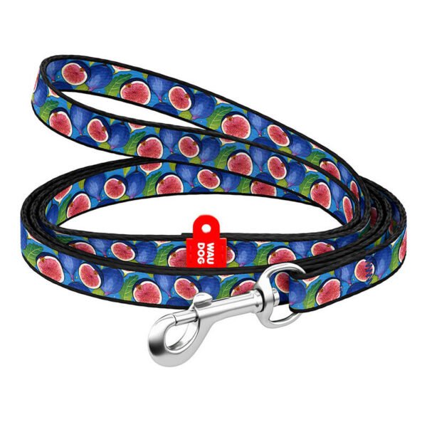 Nylon dog leash WAUDOG 20 mm wide