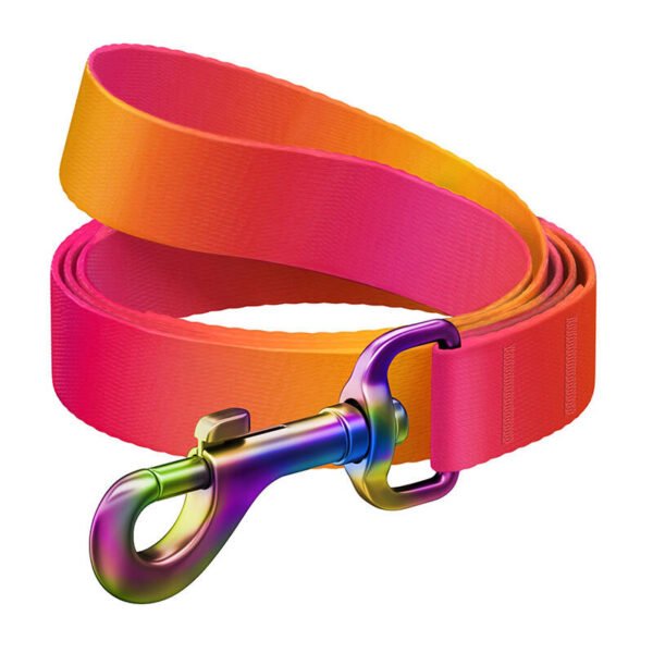 Nylon dog leash WAUDOG gradient