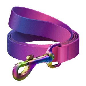 Nylon dog leash WAUDOG gradient