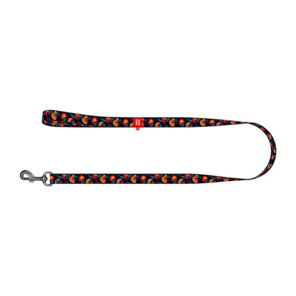 Nylon dog leash "Oranges" 122 cm Waudog cena