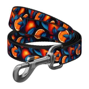 Nylon dog leash "Oranges" 122 cm Waudog